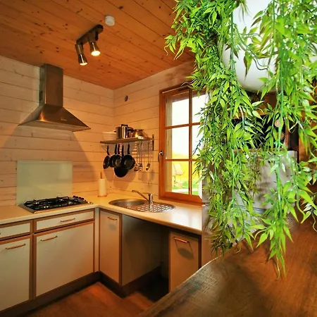 木屋 Chalet A3 圣法戈蓬蒂埃里